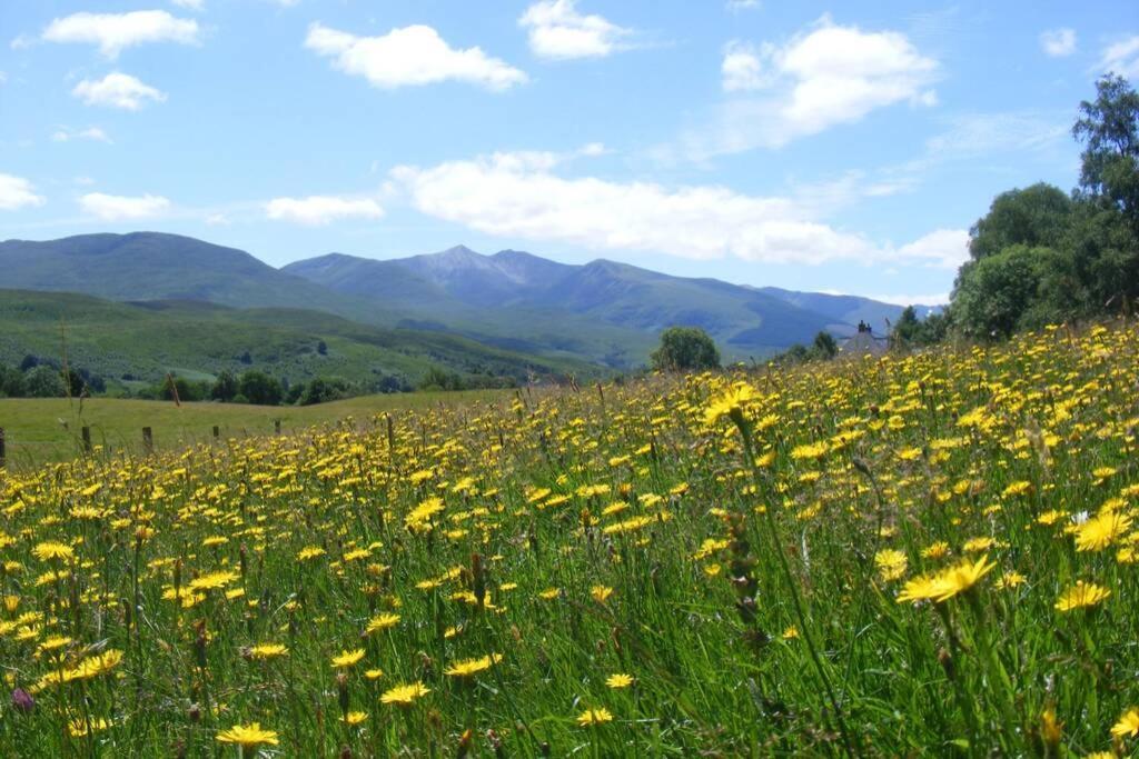 Cul Darach Lodge, Glen Roy Nature Reserve Ройбридж Экстерьер фото